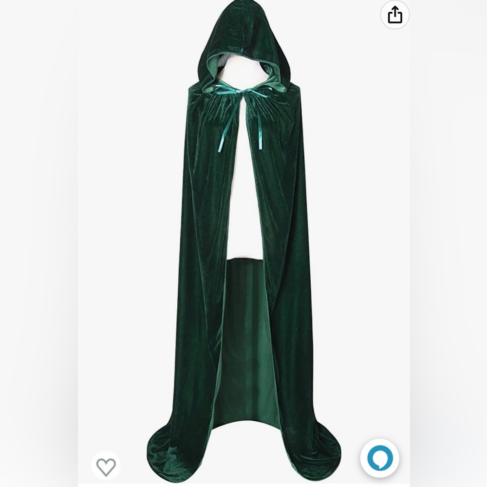 Complete Sanderson sister Winifred costume Hocus Pocus costume witch women